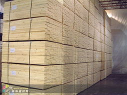 上海建材市場供應(yīng)優(yōu)質(zhì)云杉，助力城市建設(shè)與家居裝修